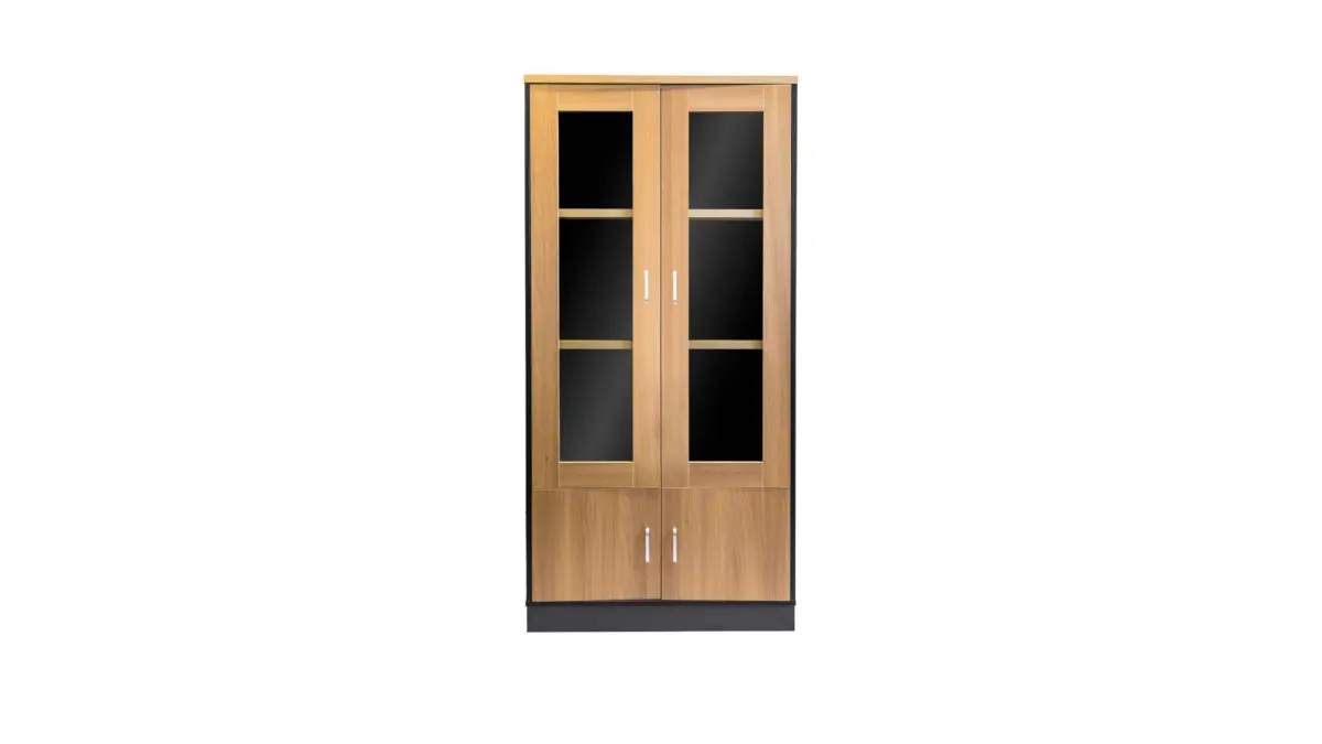 MS BS741 GLASS DOOR CABINET 2DR (SENC) - Image 4