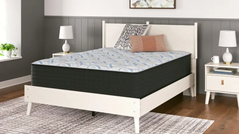 back sleeper mattress