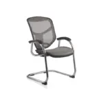 EJSG-LAM-2 ERGOHUMAN VIS CHAIR (EG)