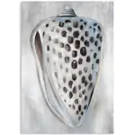 Seashell Canvas Wall Art
