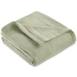 A51000305 THROW (ASH)