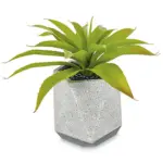 Artificial greenery plant with ash finish for home and office décor