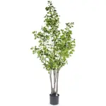 A54200032 GREENERY (ASH)