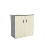 SPGD880/SPT-YD9 SWINGING DR CABINET (VS)