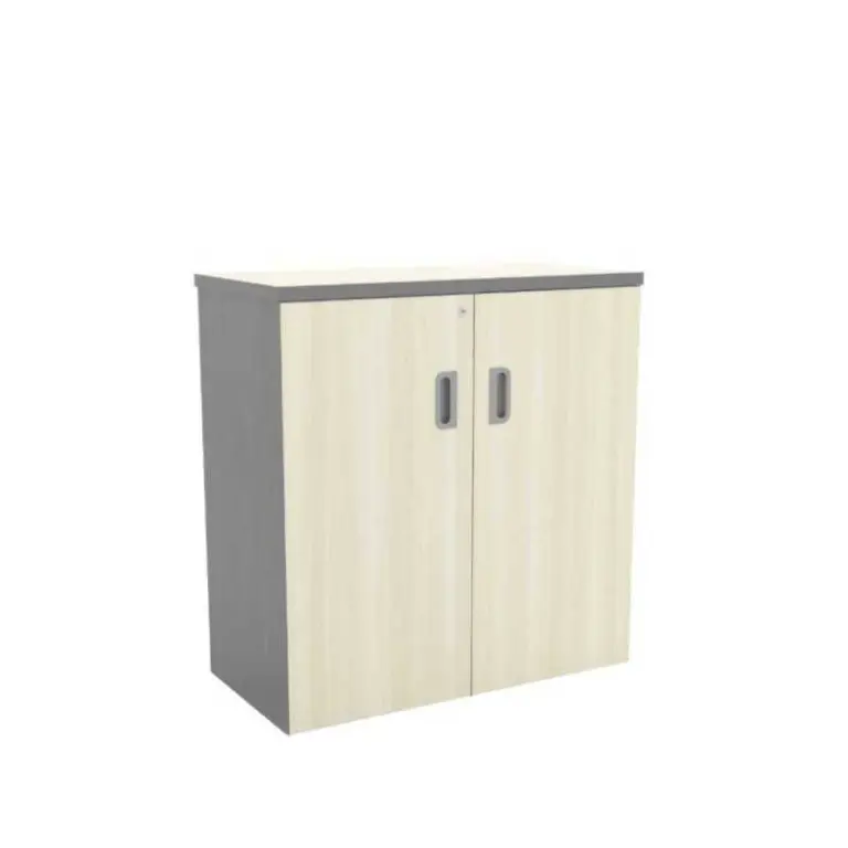 SPGD880/SPT-YD9 SWINGING DR CABINET (VS)